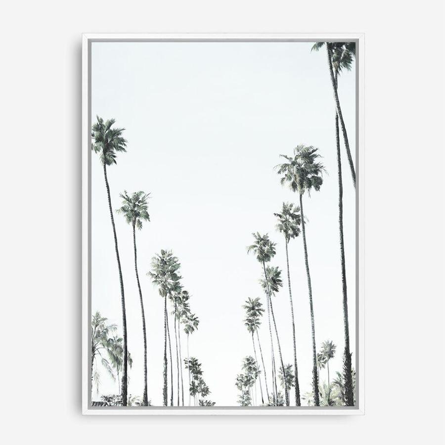 Shop California Palms II Canvas Print a painted style framed canvas wall art print from The Print Emporium artwork collection - Buy Australian made fine art painting style stretched canvas prints for the home and your interior decor space, TPE-482-CA-35X46-NF