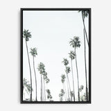 Shop California Palms II Canvas Print a painted style framed canvas wall art print from The Print Emporium artwork collection - Buy Australian made fine art painting style stretched canvas prints for the home and your interior decor space, TPE-482-CA-35X46-NF
