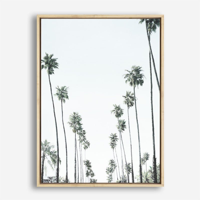 Shop California Palms II Canvas Print a painted style framed canvas wall art print from The Print Emporium artwork collection - Buy Australian made fine art painting style stretched canvas prints for the home and your interior decor space, TPE-482-CA-35X46-NF