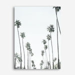 Shop California Palms II Canvas Print a painted style framed canvas wall art print from The Print Emporium artwork collection - Buy Australian made fine art painting style stretched canvas prints for the home and your interior decor space, TPE-482-CA-35X46-NF