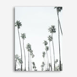Shop California Palms II Canvas Print a painted style framed canvas wall art print from The Print Emporium artwork collection - Buy Australian made fine art painting style stretched canvas prints for the home and your interior decor space, TPE-482-CA-35X46-NF