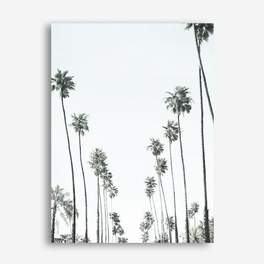 Shop California Palms II Canvas Print a painted style framed canvas wall art print from The Print Emporium artwork collection - Buy Australian made fine art painting style stretched canvas prints for the home and your interior decor space, TPE-482-CA-35X46-NF