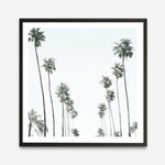 Shop California Palms II (Square) Art Print a coastal themed painted wall art print from The Print Emporium wall artwork collection - Buy Australian made fine art painting style poster and framed prints for the home and your interior decor room, TPE-481-AP