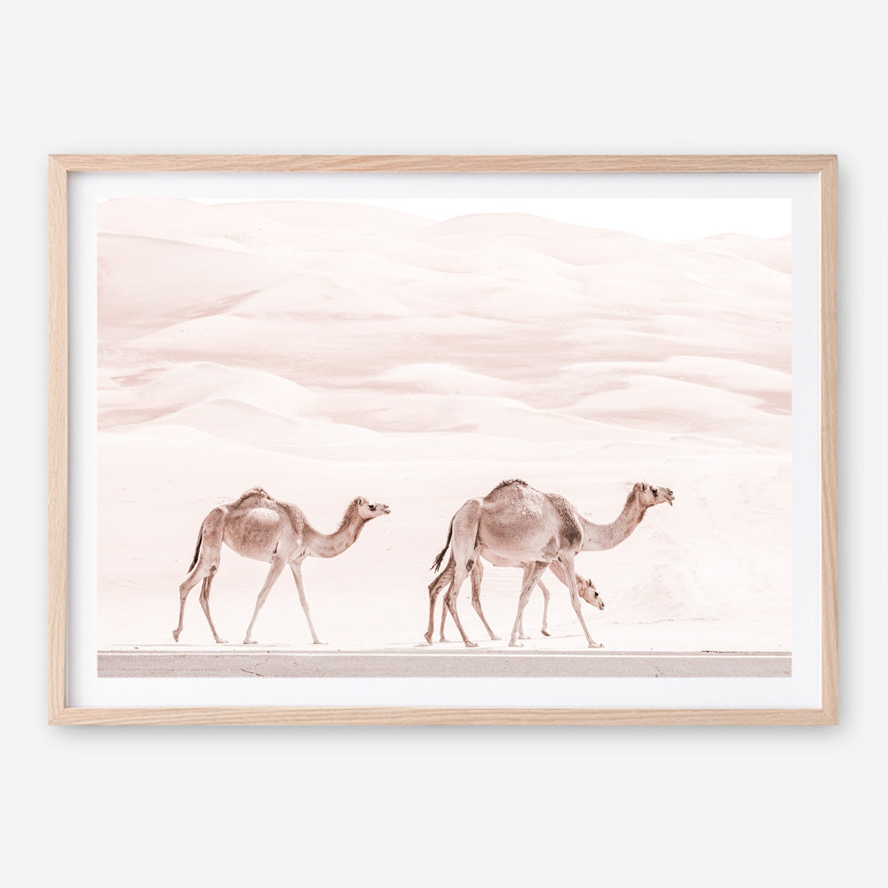 Buy Camel Highway Photo Art Print | The Print Emporium®