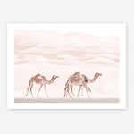 Shop Camel Highway Photo Art Print a Moroccan desert boho themed photography wall art print from The Print Emporium wall artwork collection - Buy Australian made fine art poster and framed prints for the home and your interior decor room, TPE-831-AP