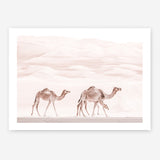 Shop Camel Highway Photo Art Print a Moroccan desert boho themed photography wall art print from The Print Emporium wall artwork collection - Buy Australian made fine art poster and framed prints for the home and your interior decor room, TPE-831-AP