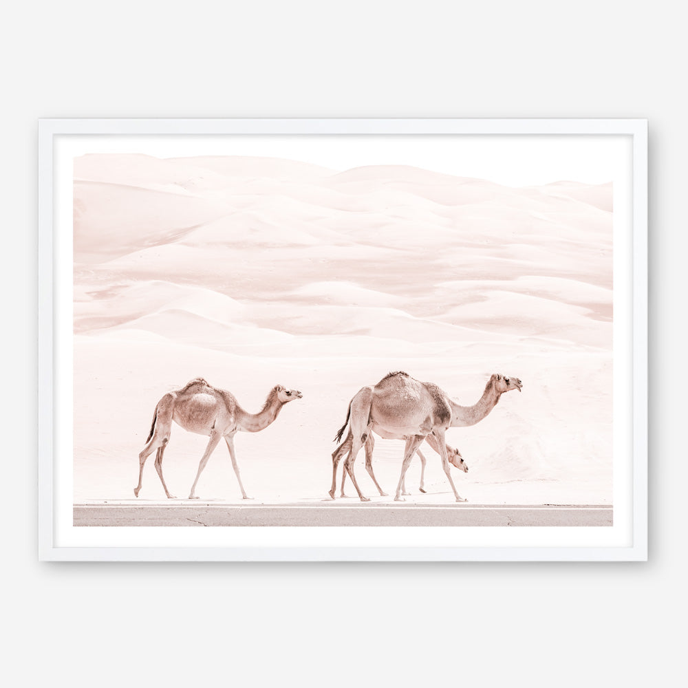 Shop Camel Highway Photo Art Print a Moroccan desert boho themed photography wall art print from The Print Emporium wall artwork collection - Buy Australian made fine art poster and framed prints for the home and your interior decor room, TPE-831-AP
