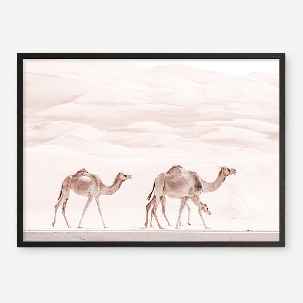 Shop Camel Highway Photo Art Print a Moroccan desert boho themed photography wall art print from The Print Emporium wall artwork collection - Buy Australian made fine art poster and framed prints for the home and your interior decor room, TPE-831-AP