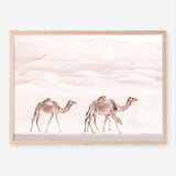 Shop Camel Highway Photo Art Print a Moroccan desert boho themed photography wall art print from The Print Emporium wall artwork collection - Buy Australian made fine art poster and framed prints for the home and your interior decor room, TPE-831-AP