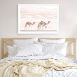 Shop Camel Highway Photo Art Print a Moroccan desert boho themed photography wall art print from The Print Emporium wall artwork collection - Buy Australian made fine art poster and framed prints for the home and your interior decor room, TPE-831-AP