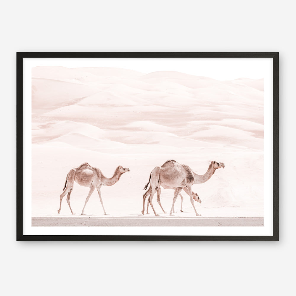 Shop Camel Highway Photo Art Print a Moroccan desert boho themed photography wall art print from The Print Emporium wall artwork collection - Buy Australian made fine art poster and framed prints for the home and your interior decor room, TPE-831-AP