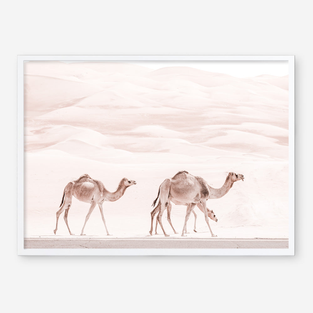 Shop Camel Highway Photo Art Print a Moroccan desert boho themed photography wall art print from The Print Emporium wall artwork collection - Buy Australian made fine art poster and framed prints for the home and your interior decor room, TPE-831-AP