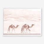 Shop Camel Highway Photo Art Print a Moroccan desert boho themed photography wall art print from The Print Emporium wall artwork collection - Buy Australian made fine art poster and framed prints for the home and your interior decor room, TPE-831-AP