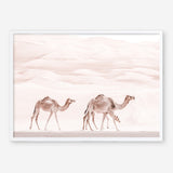 Shop Camel Highway Photo Art Print a Moroccan desert boho themed photography wall art print from The Print Emporium wall artwork collection - Buy Australian made fine art poster and framed prints for the home and your interior decor room, TPE-831-AP