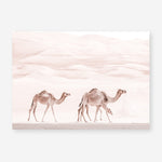 Shop Camel Highway Photo Art Print a Moroccan desert boho themed photography wall art print from The Print Emporium wall artwork collection - Buy Australian made fine art poster and framed prints for the home and your interior decor room, TPE-831-AP