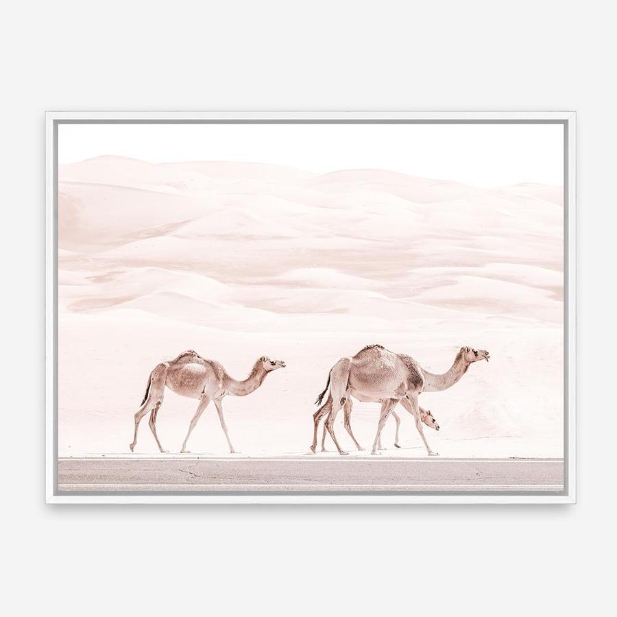 Shop Camel Highway Photo Canvas Print a Moroccan desert boho themed photography framed stretched canvas print from The Print Emporium wall artwork collection - Buy Australian made prints for the home and your interior decor space, TPE-831-CA-35X46-NF