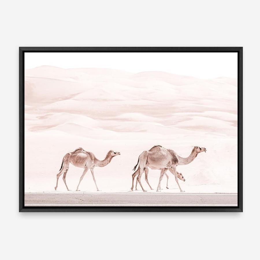 Shop Camel Highway Photo Canvas Print a Moroccan desert boho themed photography framed stretched canvas print from The Print Emporium wall artwork collection - Buy Australian made prints for the home and your interior decor space, TPE-831-CA-35X46-NF