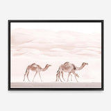 Shop Camel Highway Photo Canvas Print a Moroccan desert boho themed photography framed stretched canvas print from The Print Emporium wall artwork collection - Buy Australian made prints for the home and your interior decor space, TPE-831-CA-35X46-NF