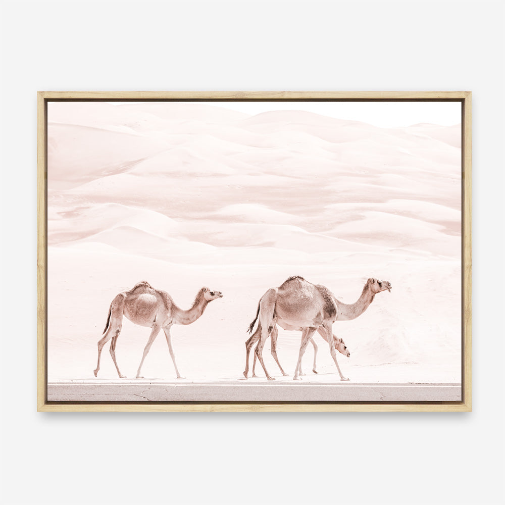 Shop Camel Highway Photo Canvas Print a Moroccan desert boho themed photography framed stretched canvas print from The Print Emporium wall artwork collection - Buy Australian made prints for the home and your interior decor space, TPE-831-CA-35X46-NF