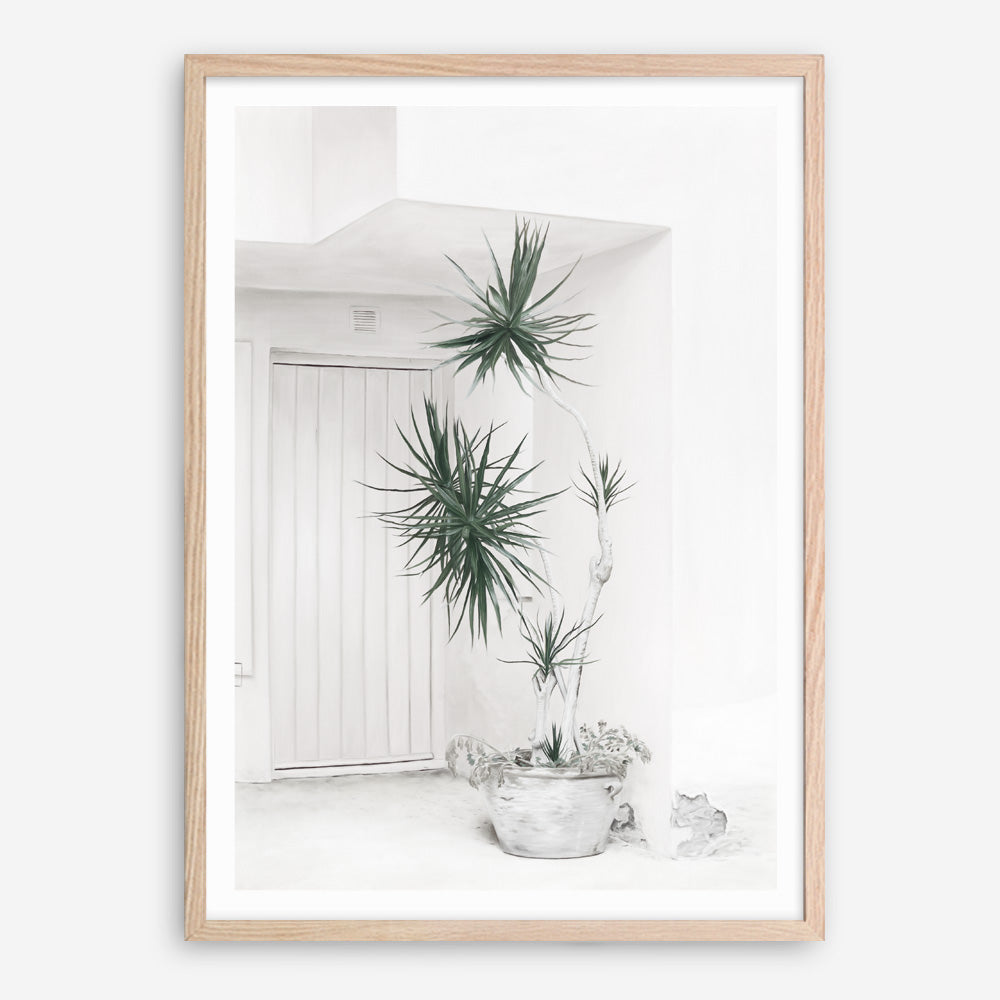 Shop Casa Di Palme II Art Print a coastal themed painted wall art print from The Print Emporium wall artwork collection - Buy Australian made fine art painting style poster and framed prints for the home and your interior decor room, TPE-758-AP