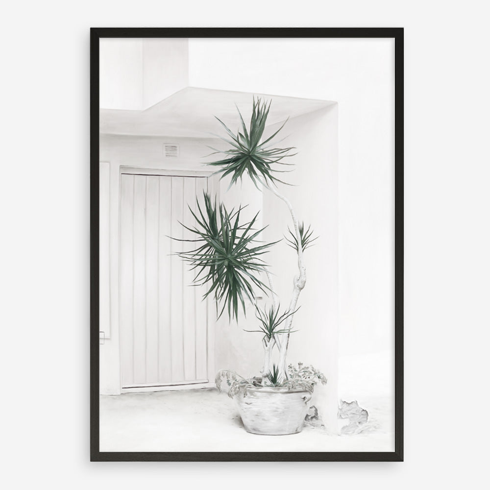 Shop Casa Di Palme II Art Print a coastal themed painted wall art print from The Print Emporium wall artwork collection - Buy Australian made fine art painting style poster and framed prints for the home and your interior decor room, TPE-758-AP