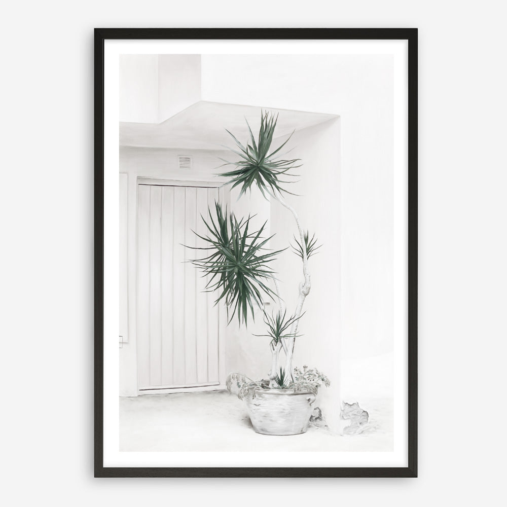 Shop Casa Di Palme II Art Print a coastal themed painted wall art print from The Print Emporium wall artwork collection - Buy Australian made fine art painting style poster and framed prints for the home and your interior decor room, TPE-758-AP