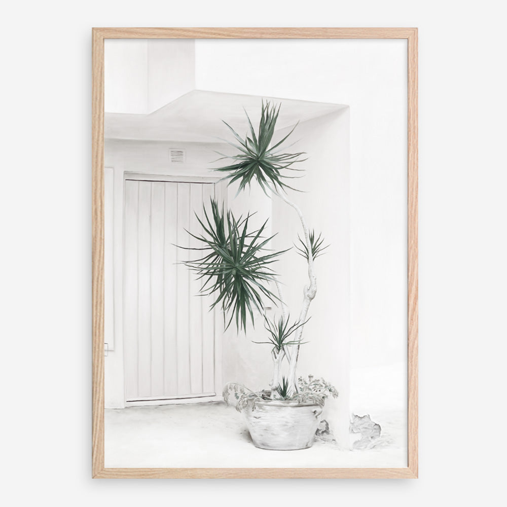 Shop Casa Di Palme II Art Print a coastal themed painted wall art print from The Print Emporium wall artwork collection - Buy Australian made fine art painting style poster and framed prints for the home and your interior decor room, TPE-758-AP
