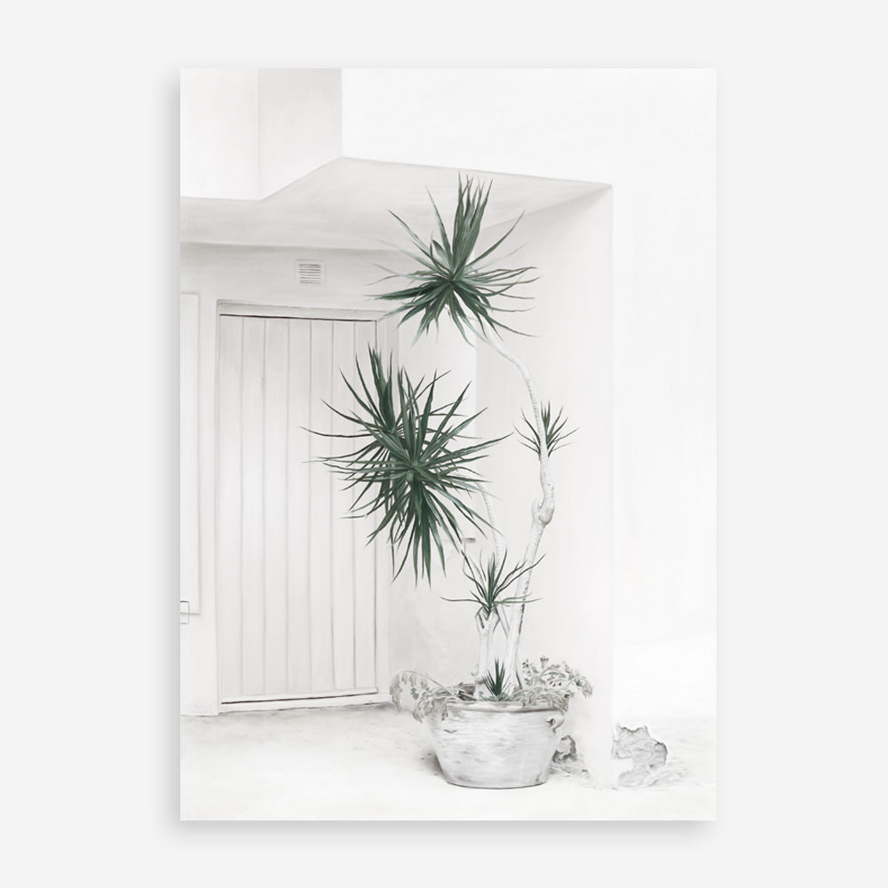 Shop Casa Di Palme II Art Print a coastal themed painted wall art print from The Print Emporium wall artwork collection - Buy Australian made fine art painting style poster and framed prints for the home and your interior decor room, TPE-758-AP