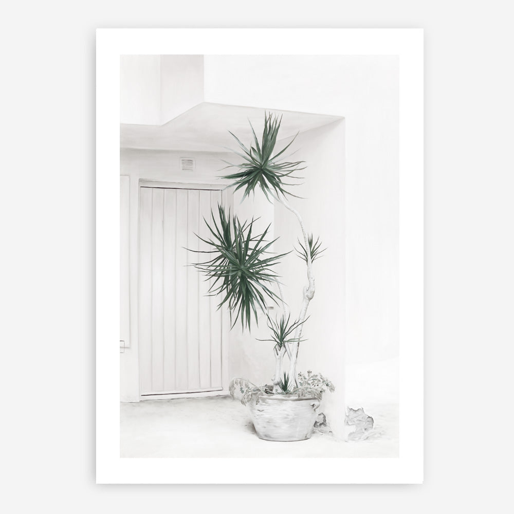 Shop Casa Di Palme II Art Print a coastal themed painted wall art print from The Print Emporium wall artwork collection - Buy Australian made fine art painting style poster and framed prints for the home and your interior decor room, TPE-758-AP