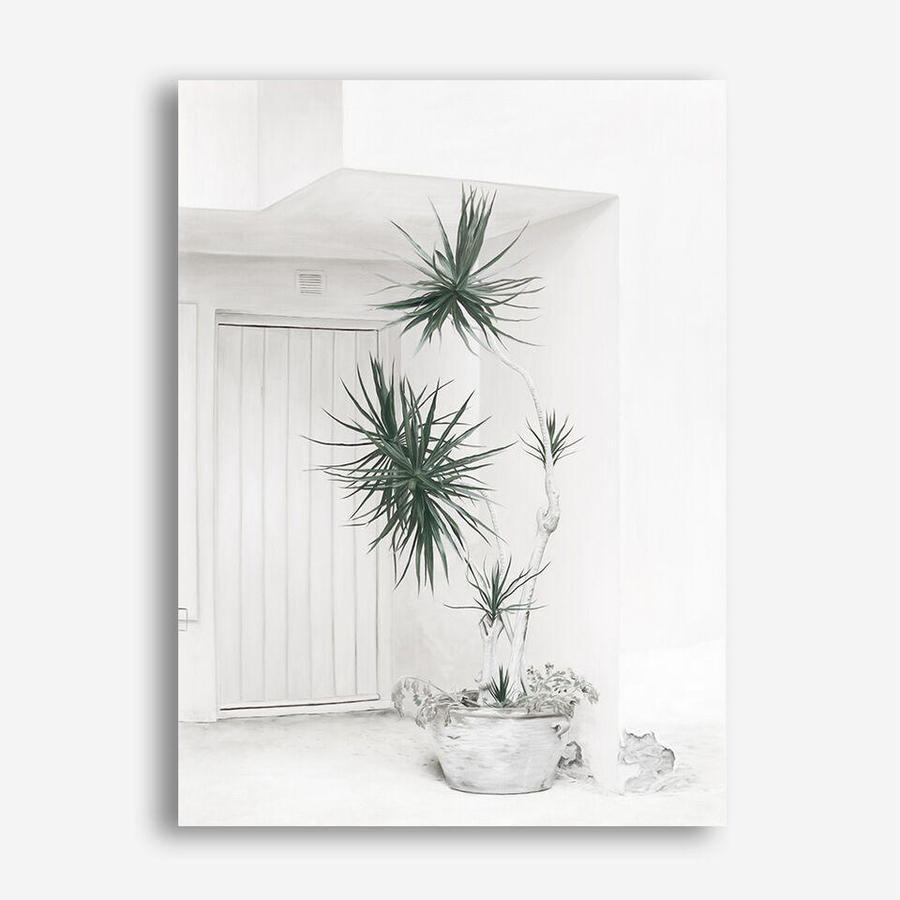 Shop Casa Di Palme II Canvas Print a coastal themed painted framed canvas wall art print from The Print Emporium artwork collection - Buy Australian made fine art painting style stretched canvas prints for the home and your interior decor space, TPE-758-CA-35X46-NF
