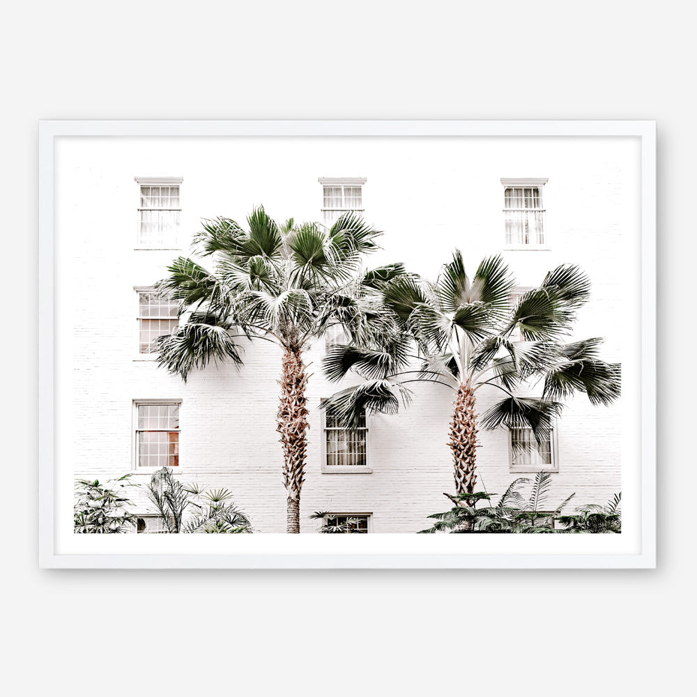Shop Casa Palms Photo Art Print a coastal themed photography wall art print from The Print Emporium wall artwork collection - Buy Australian made fine art poster and framed prints for the home and your interior decor, TPE-545-AP