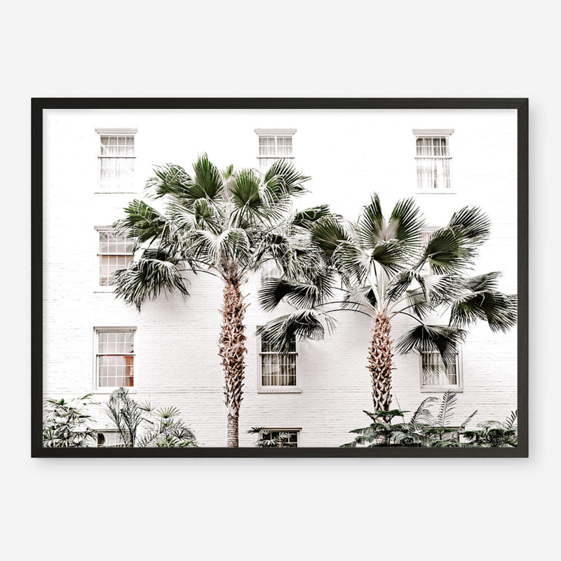 Shop Casa Palms Photo Art Print a coastal themed photography wall art print from The Print Emporium wall artwork collection - Buy Australian made fine art poster and framed prints for the home and your interior decor, TPE-545-AP