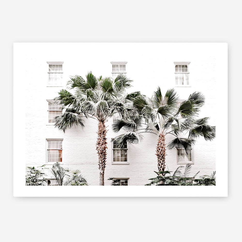 Shop Casa Palms Photo Art Print a coastal themed photography wall art print from The Print Emporium wall artwork collection - Buy Australian made fine art poster and framed prints for the home and your interior decor, TPE-545-AP