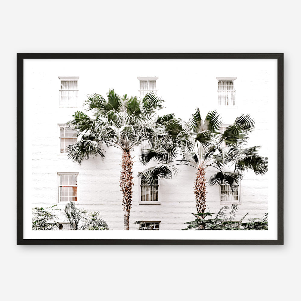 Shop Casa Palms Photo Art Print a coastal themed photography wall art print from The Print Emporium wall artwork collection - Buy Australian made fine art poster and framed prints for the home and your interior decor, TPE-545-AP
