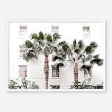 Shop Casa Palms Photo Art Print a coastal themed photography wall art print from The Print Emporium wall artwork collection - Buy Australian made fine art poster and framed prints for the home and your interior decor, TPE-545-AP