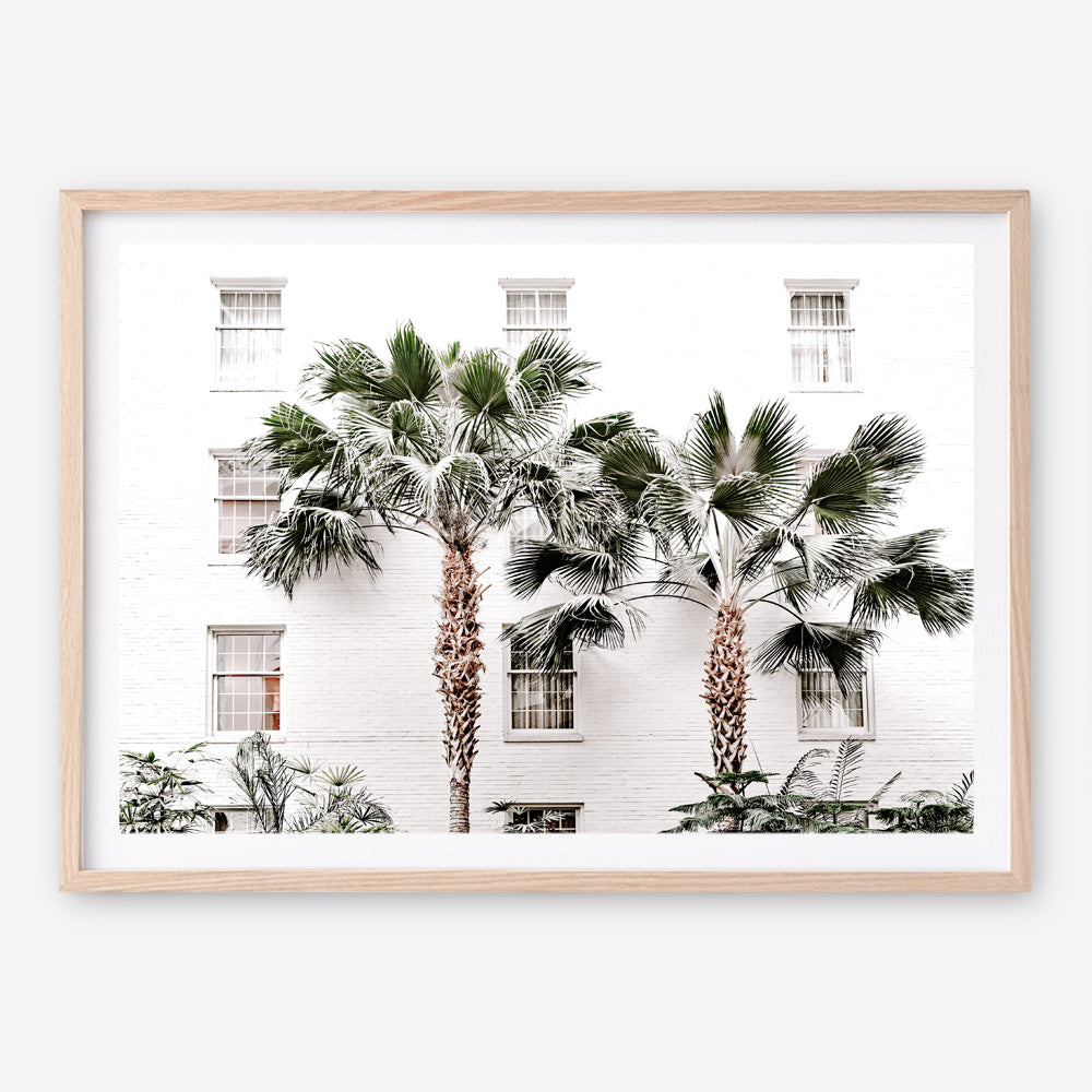 Shop Casa Palms Photo Art Print a coastal themed photography wall art print from The Print Emporium wall artwork collection - Buy Australian made fine art poster and framed prints for the home and your interior decor, TPE-545-AP