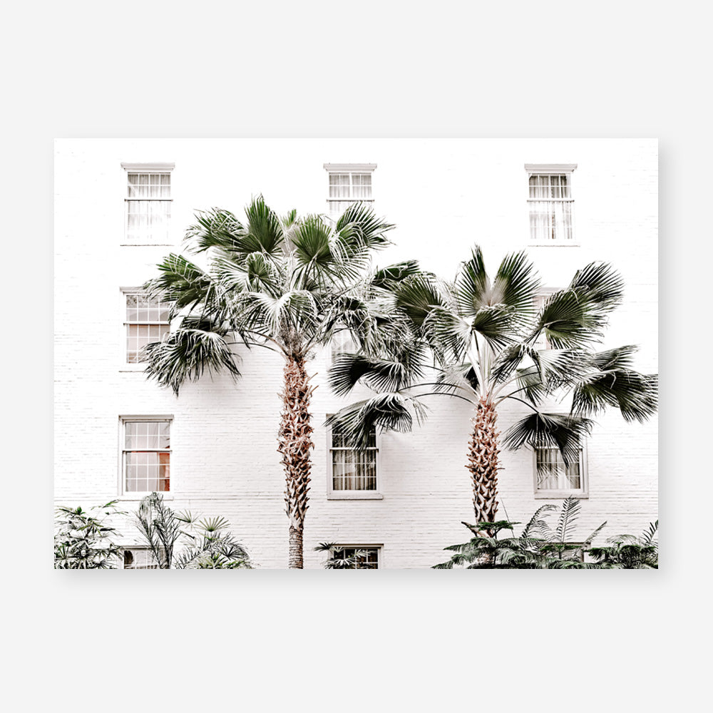 Shop Casa Palms Photo Art Print a coastal themed photography wall art print from The Print Emporium wall artwork collection - Buy Australian made fine art poster and framed prints for the home and your interior decor, TPE-545-AP