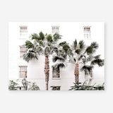 Shop Casa Palms Photo Art Print a coastal themed photography wall art print from The Print Emporium wall artwork collection - Buy Australian made fine art poster and framed prints for the home and your interior decor, TPE-545-AP