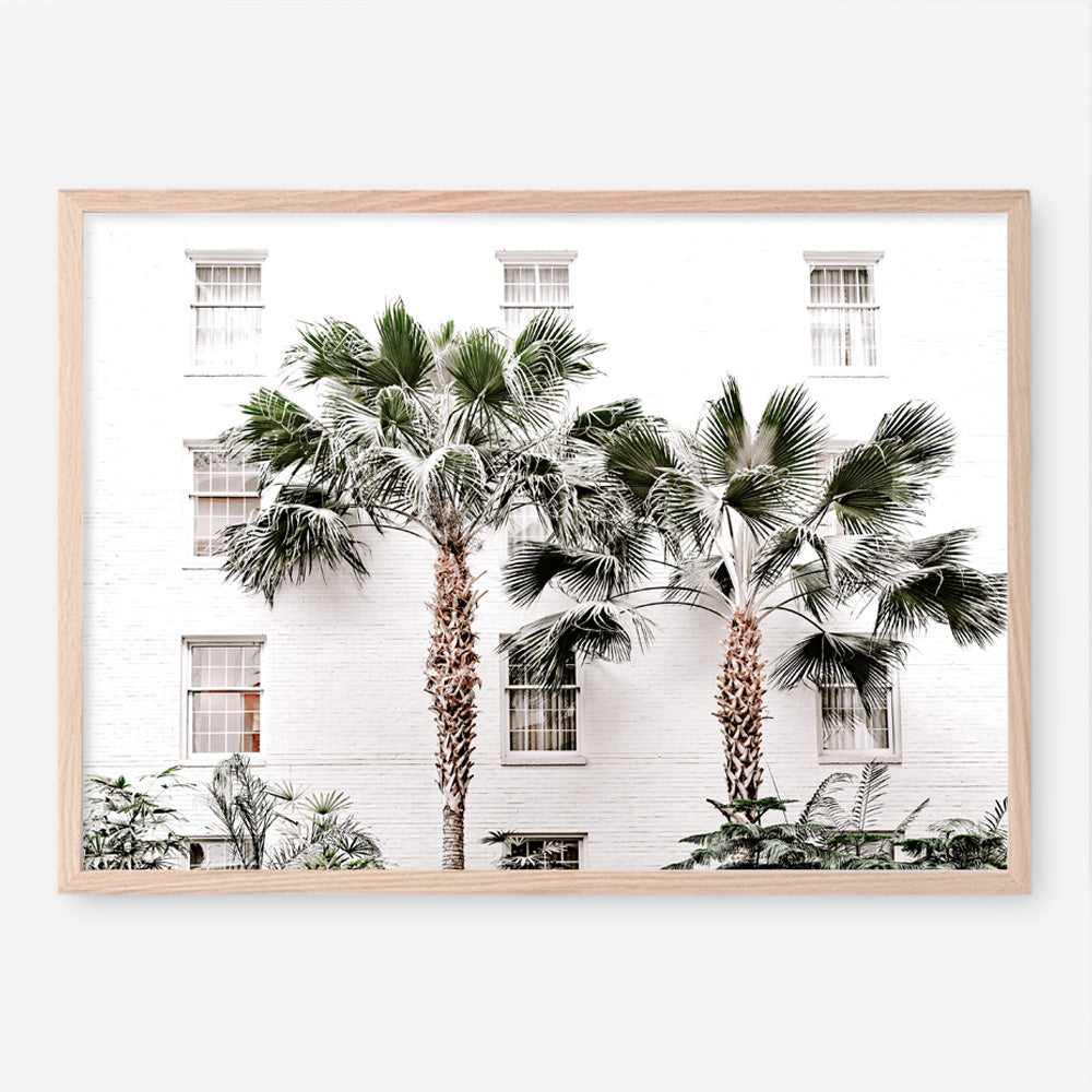 Shop Casa Palms Photo Art Print a coastal themed photography wall art print from The Print Emporium wall artwork collection - Buy Australian made fine art poster and framed prints for the home and your interior decor, TPE-545-AP