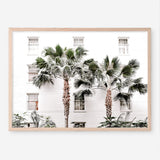 Shop Casa Palms Photo Art Print a coastal themed photography wall art print from The Print Emporium wall artwork collection - Buy Australian made fine art poster and framed prints for the home and your interior decor, TPE-545-AP
