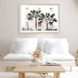 Shop Casa Palms Photo Art Print a coastal themed photography wall art print from The Print Emporium wall artwork collection - Buy Australian made fine art poster and framed prints for the home and your interior decor, TPE-545-AP