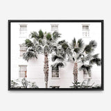 Shop Casa Palms Photo Canvas Print a coastal themed photography framed stretched canvas print from The Print Emporium wall artwork collection - Buy Australian made prints for the home and your interior decor space, TPE-545-CA-35X46-NF