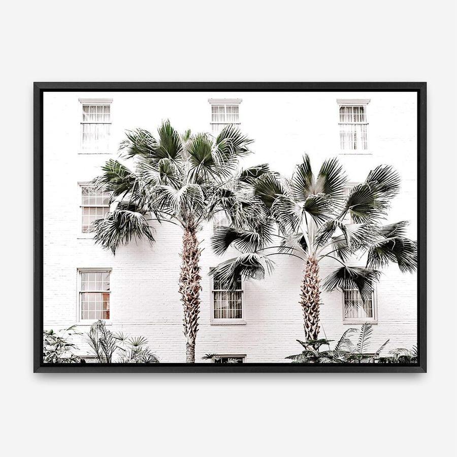 Shop Casa Palms Photo Canvas Print a coastal themed photography framed stretched canvas print from The Print Emporium wall artwork collection - Buy Australian made prints for the home and your interior decor space, TPE-545-CA-35X46-NF