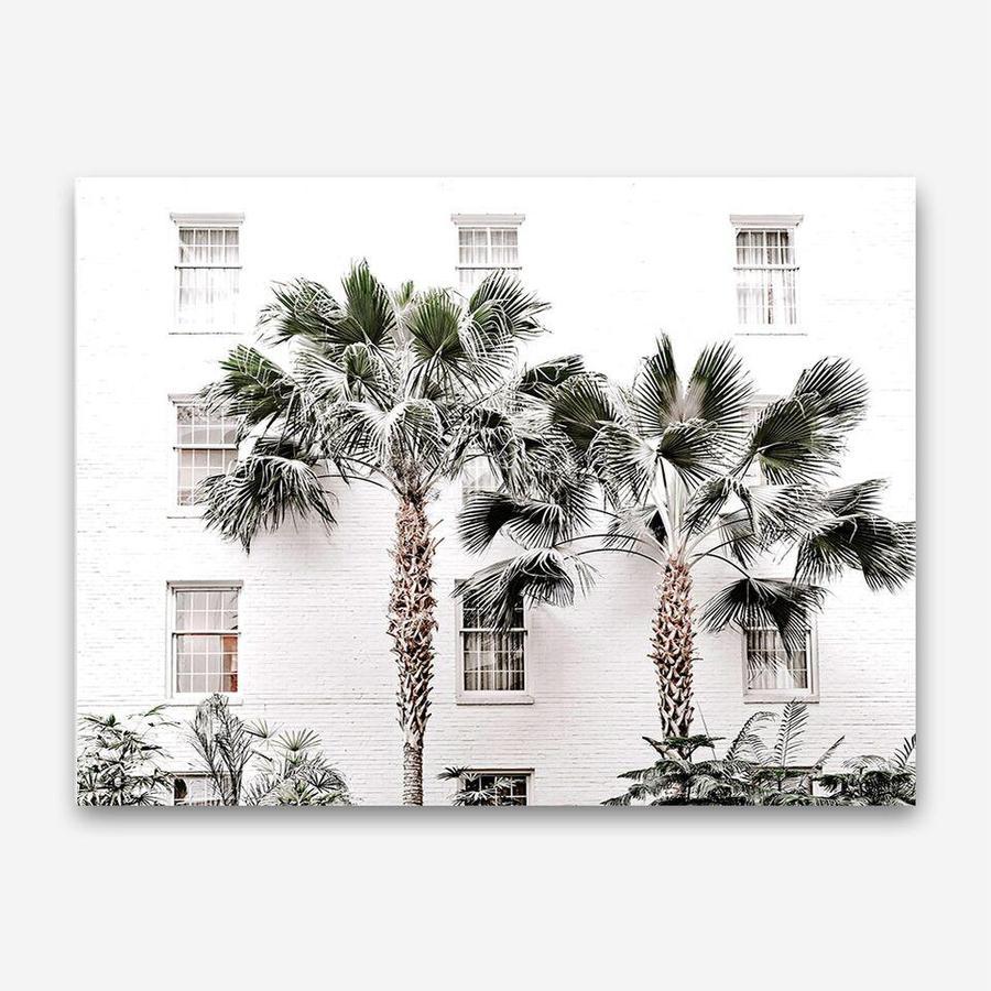 Shop Casa Palms Photo Canvas Print a coastal themed photography framed stretched canvas print from The Print Emporium wall artwork collection - Buy Australian made prints for the home and your interior decor space, TPE-545-CA-35X46-NF