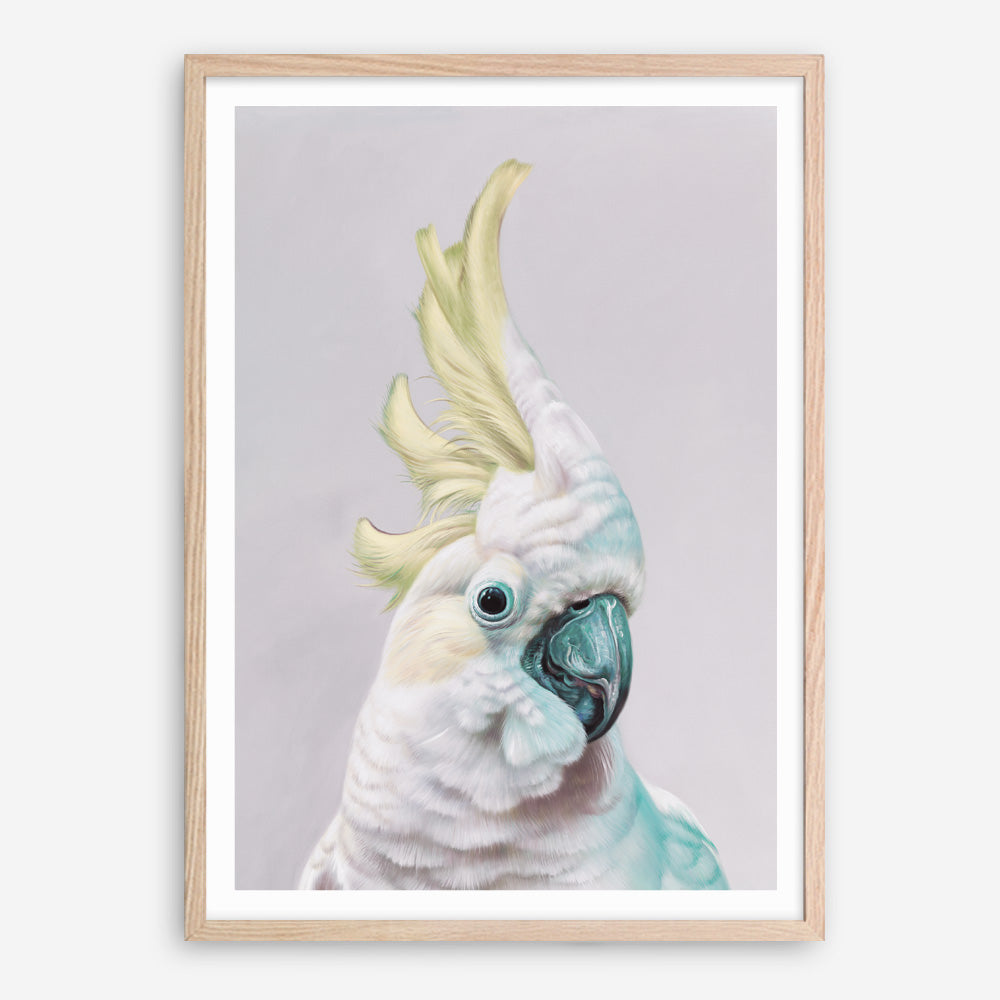 Shop Charlie The Cockatoo (Ice) Art Print a painted bird themed wall art print from The Print Emporium wall artwork collection - Buy Australian made fine art painting style poster and framed prints for the home and your interior decor room, TPE-221-AP