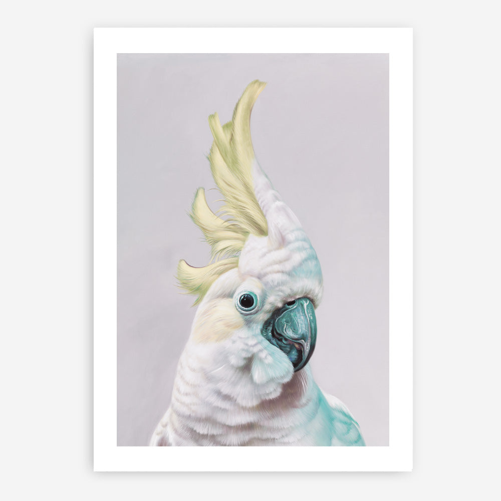 Shop Charlie The Cockatoo (Ice) Art Print a painted bird themed wall art print from The Print Emporium wall artwork collection - Buy Australian made fine art painting style poster and framed prints for the home and your interior decor room, TPE-221-AP