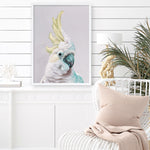 Shop Charlie The Cockatoo (Ice) Art Print a painted bird themed wall art print from The Print Emporium wall artwork collection - Buy Australian made fine art painting style poster and framed prints for the home and your interior decor room, TPE-221-AP