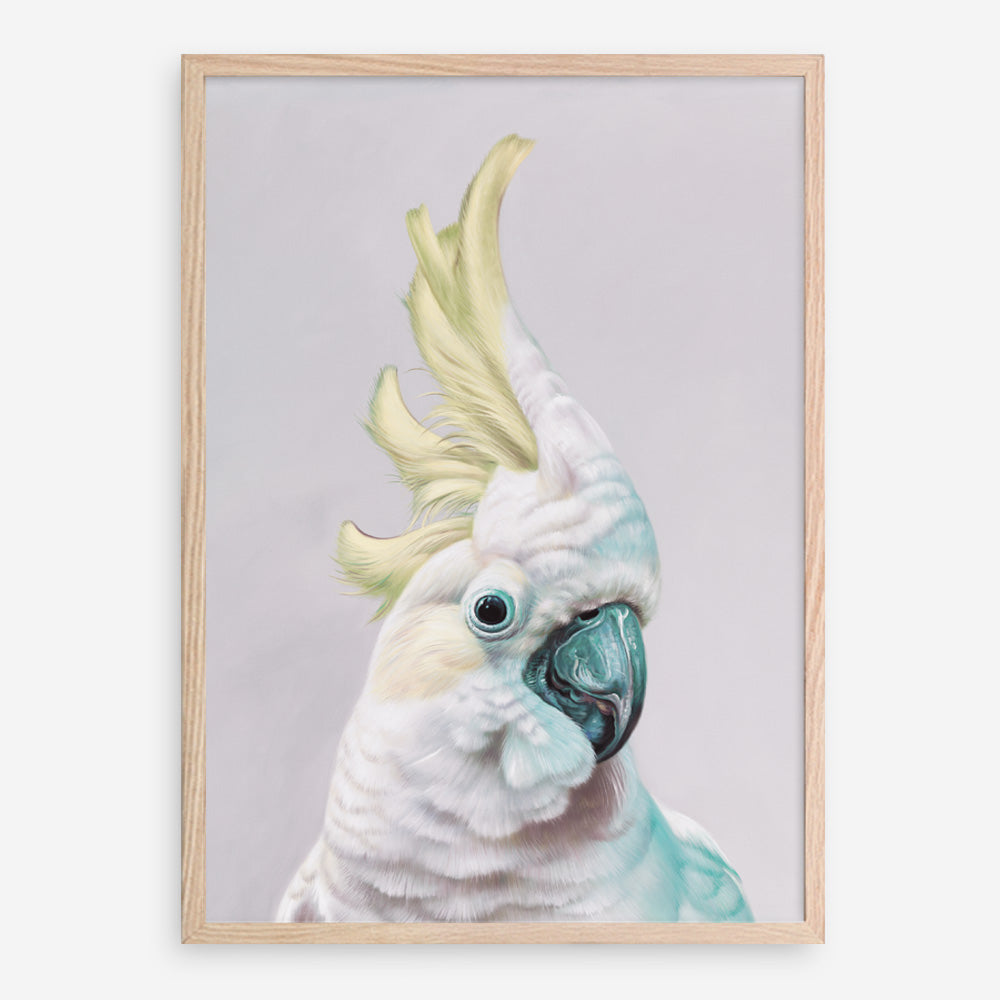 Shop Charlie The Cockatoo (Ice) Art Print a painted bird themed wall art print from The Print Emporium wall artwork collection - Buy Australian made fine art painting style poster and framed prints for the home and your interior decor room, TPE-221-AP