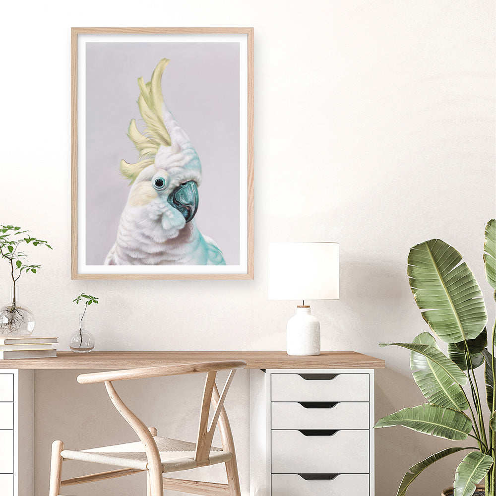 Shop Charlie The Cockatoo (Ice) Art Print a painted bird themed wall art print from The Print Emporium wall artwork collection - Buy Australian made fine art painting style poster and framed prints for the home and your interior decor room, TPE-221-AP