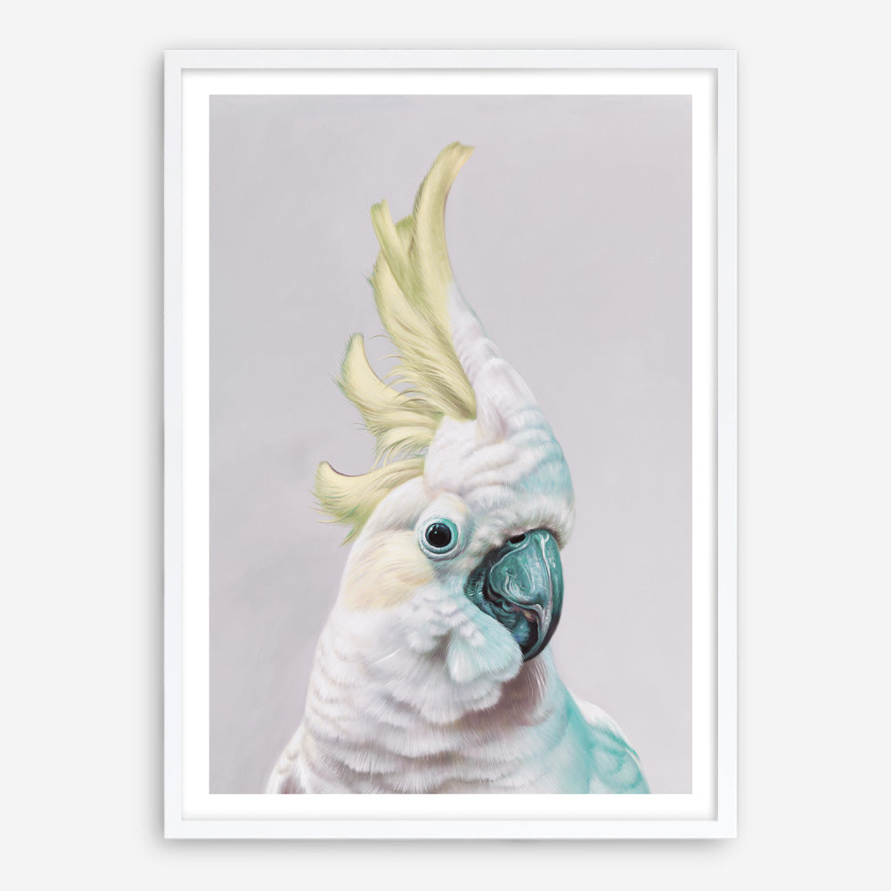 Shop Charlie The Cockatoo (Ice) Art Print a painted bird themed wall art print from The Print Emporium wall artwork collection - Buy Australian made fine art painting style poster and framed prints for the home and your interior decor room, TPE-221-AP